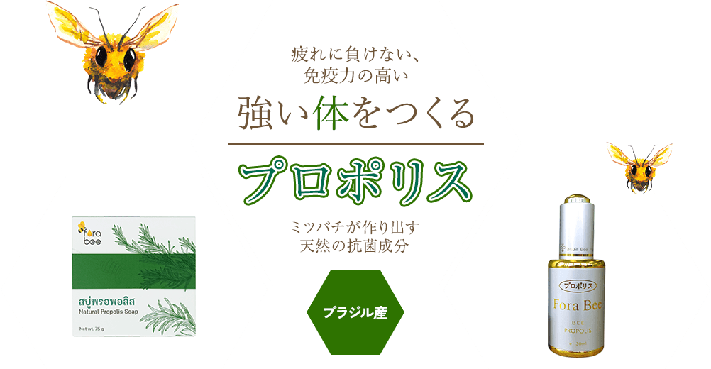 疲れに負けない、免疫力の高い体を作るプロポリス｜ミツバチが作り出す天然の抗菌成分｜ブラジル産