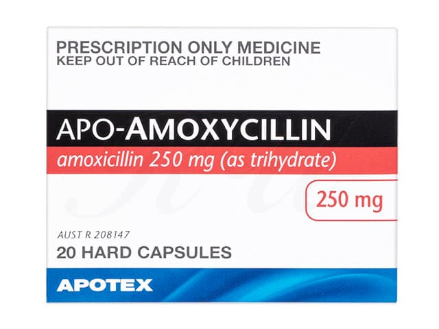 [サワシリンジェネリック]APOアモキシシリン250mg 【1箱20ハードカプセル】