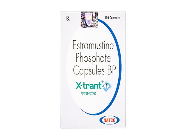 エクストラント140mg 【1箱100カプセル】