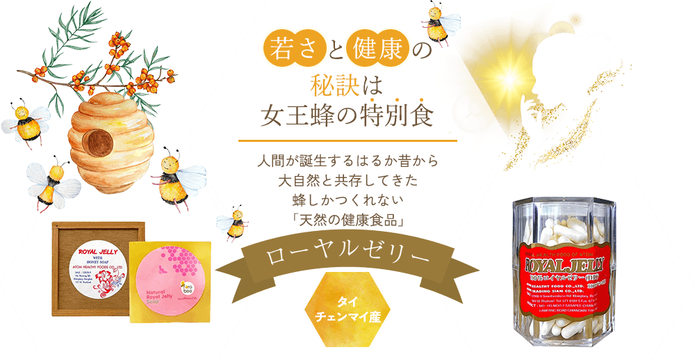 若さと健康の秘訣は女王蜂の特別食|人間が誕生するはるか昔から大自然と共存してきた蜂しかつくれない「天然の健康食品」ローヤルゼリー|タイ チェンマイ産