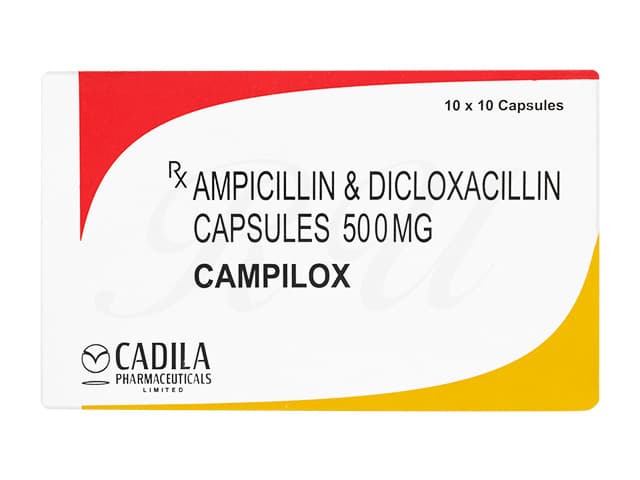 チャンピロックス250mg/250mg 【1箱100錠】